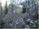 Konec ceste na Vogar - Planina Dedno Polje